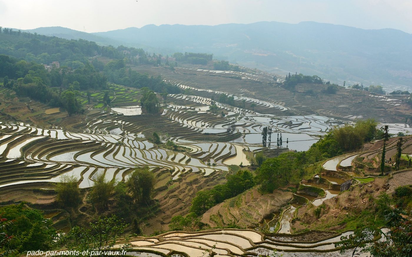rizières de Yuanyang