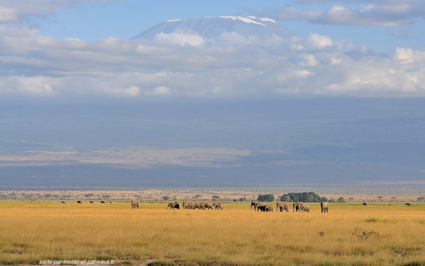 Kenya - Tanzanie