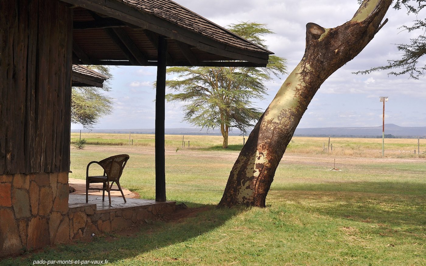 Amboseli - Ol Tukai lodge Amboseli - Ol Tukai lodge