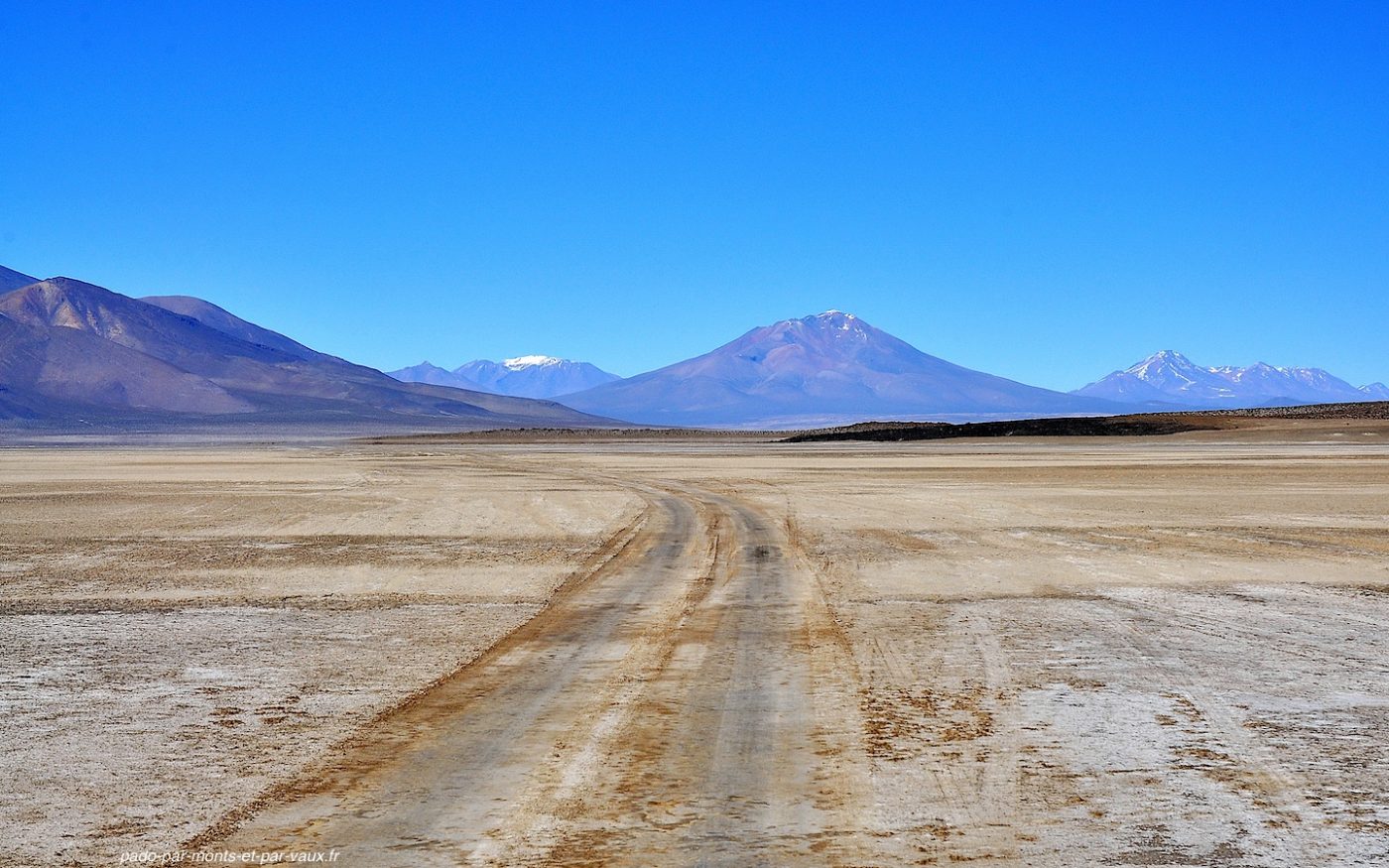 Salar de Chiguana Salar de Chiguana
