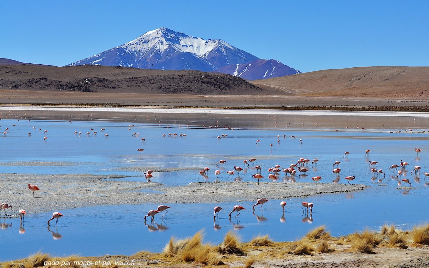 Laguna Hedionda Laguna Hedionda