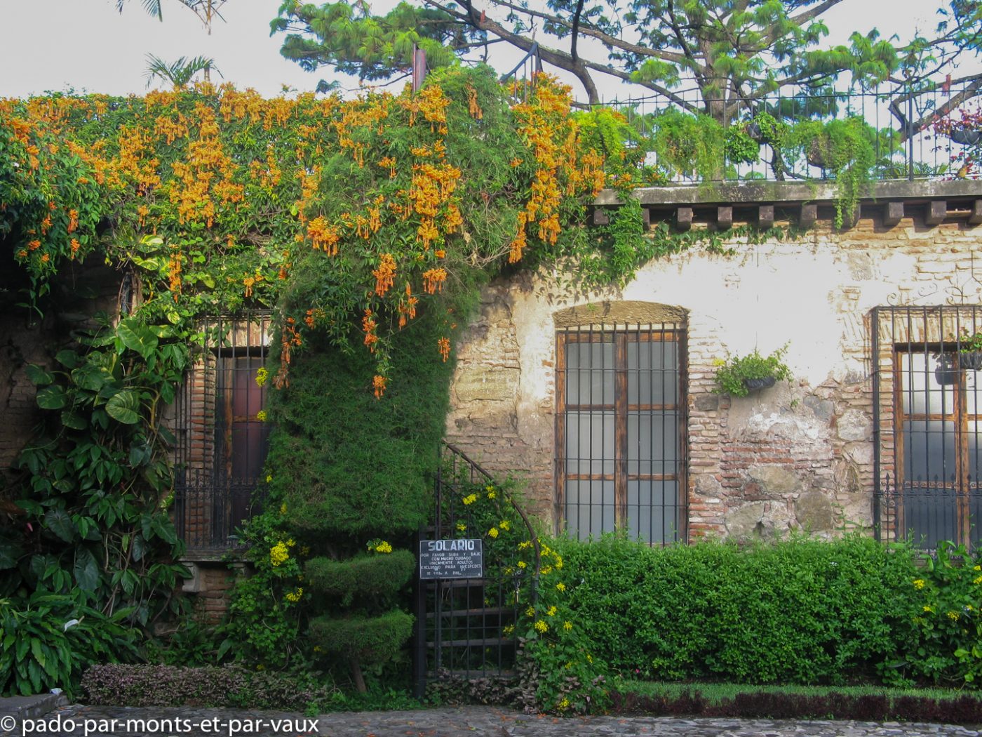Antigua - Posada de San Rodrigo Antigua - Posada de San Rodrigo
