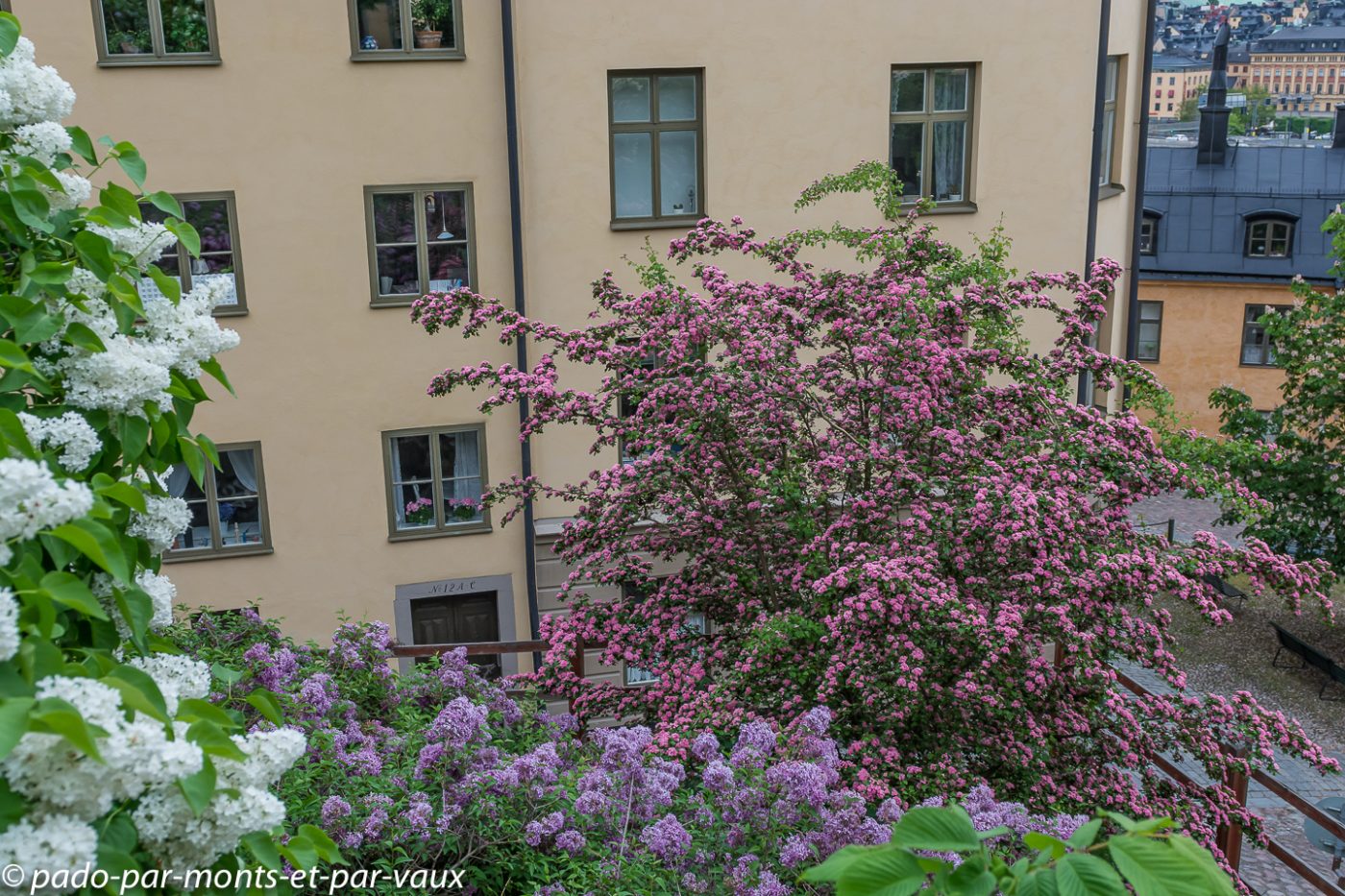 Stockholm - Södermalm Stockholm - Södermalm