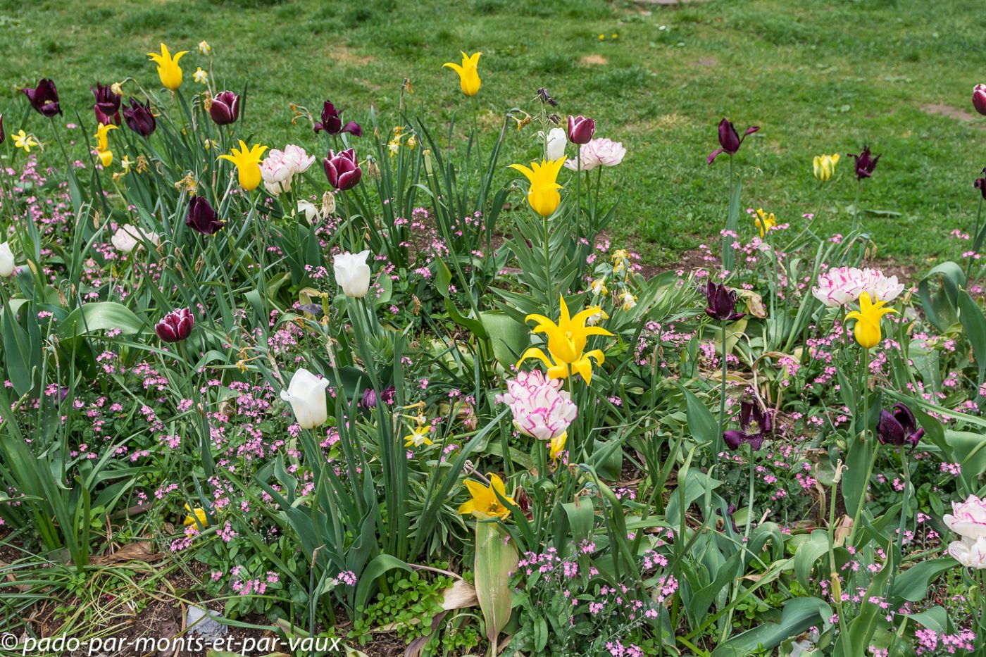 Stockholm - Södermalm Stockholm - Södermalm