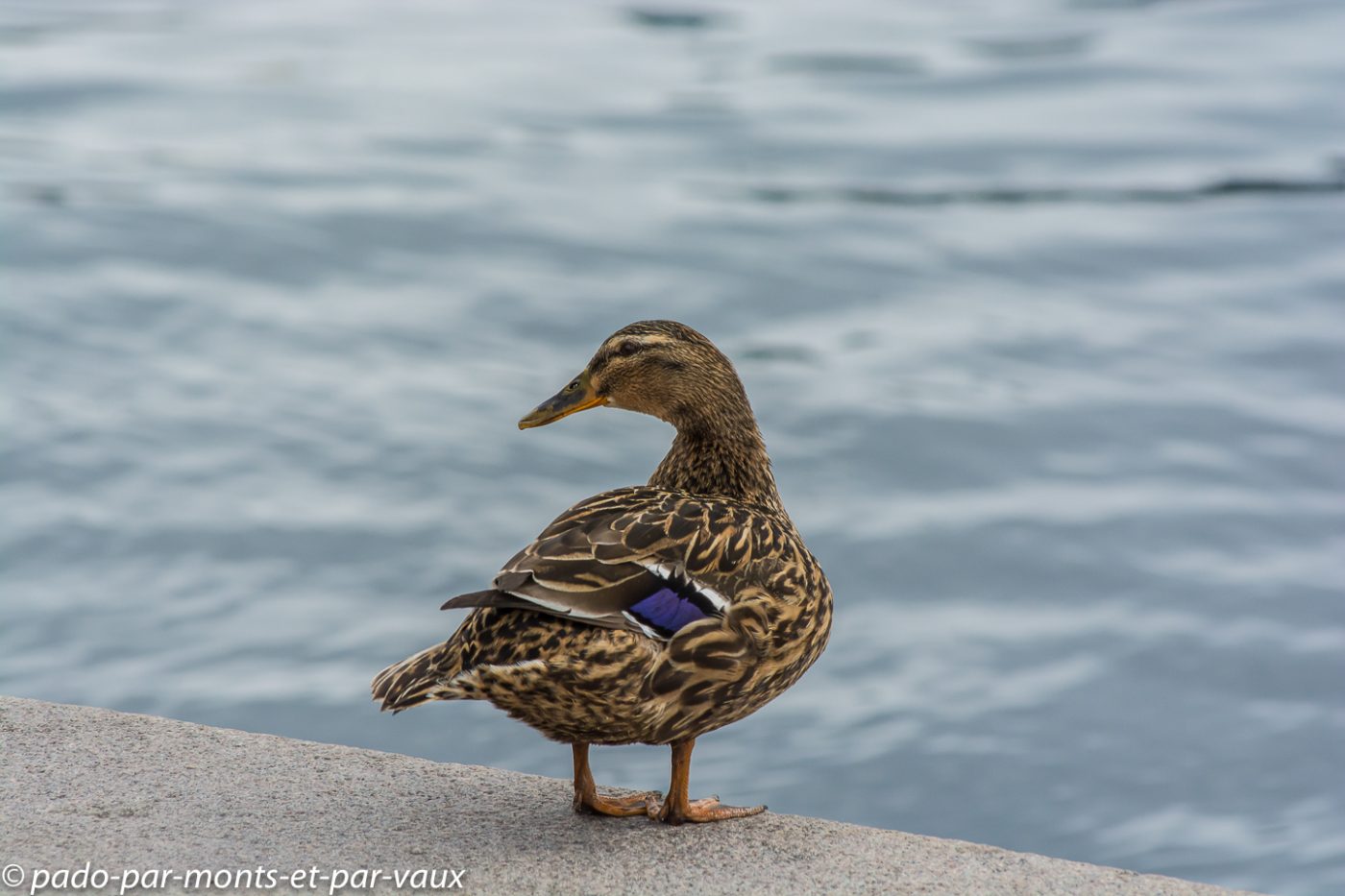 Stockholm - Hôtel de ville Stockholm - Hôtel de ville