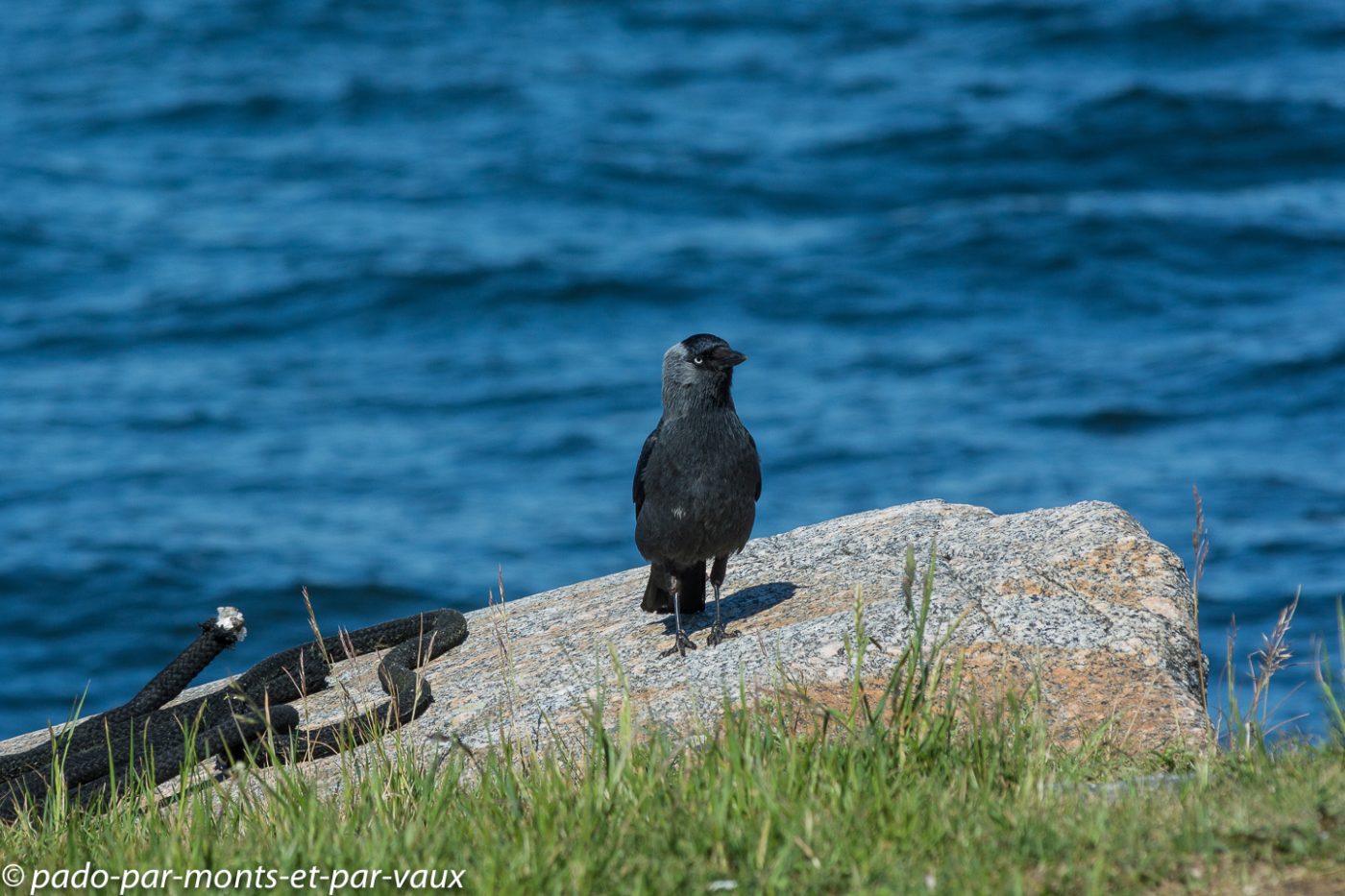 Archipel de Stockholm - Vaxholm Archipel de Stockholm - Vaxholm