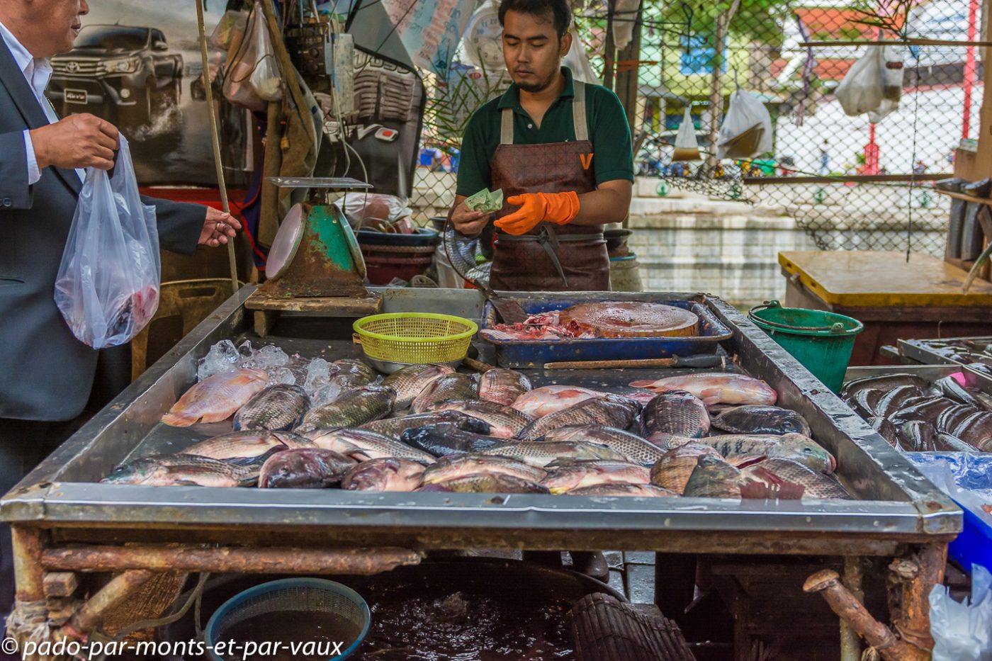 Bangkok - marché au poisson