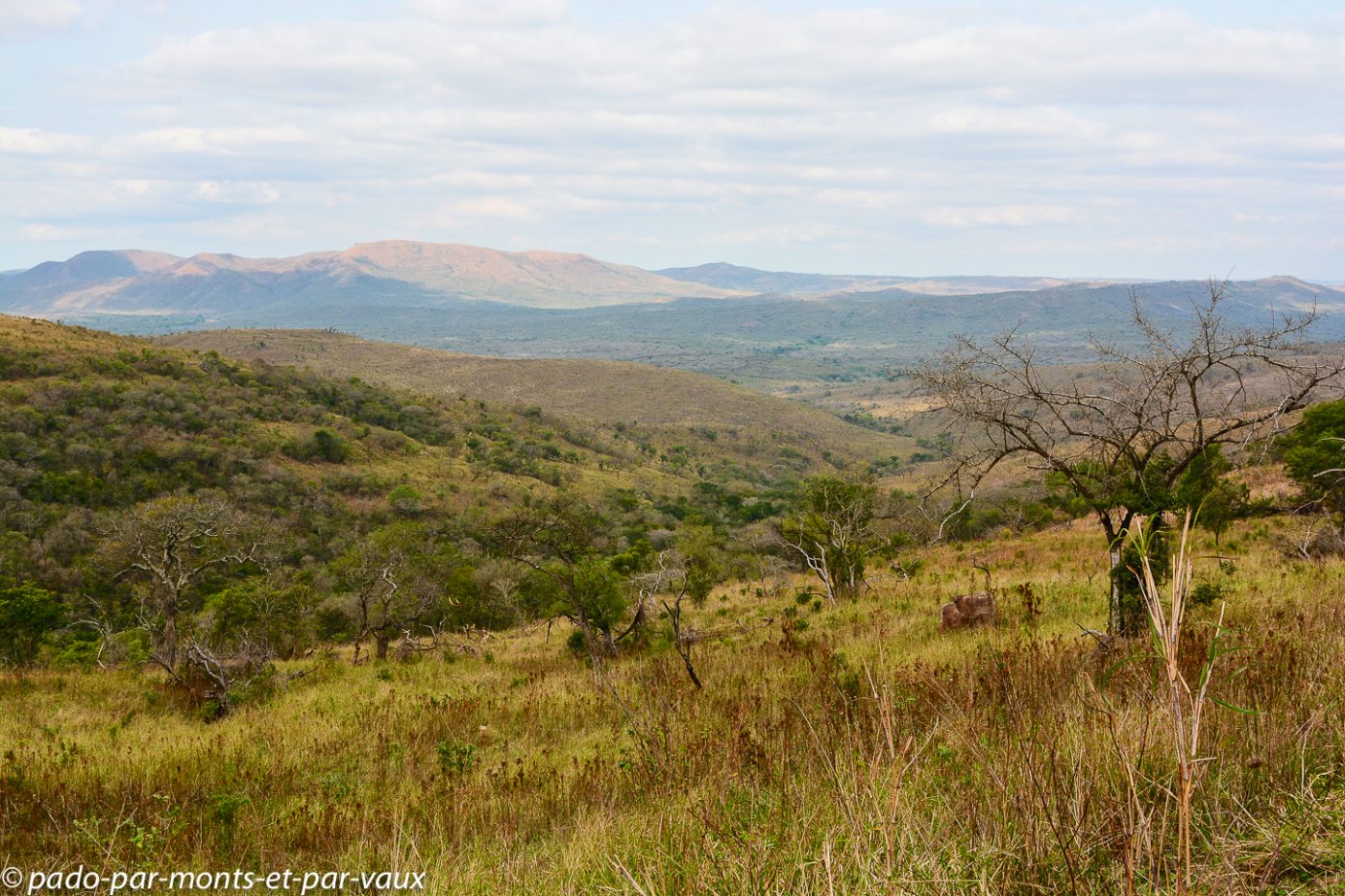 parc national de Hluhluwe parc national de Hluhluwe