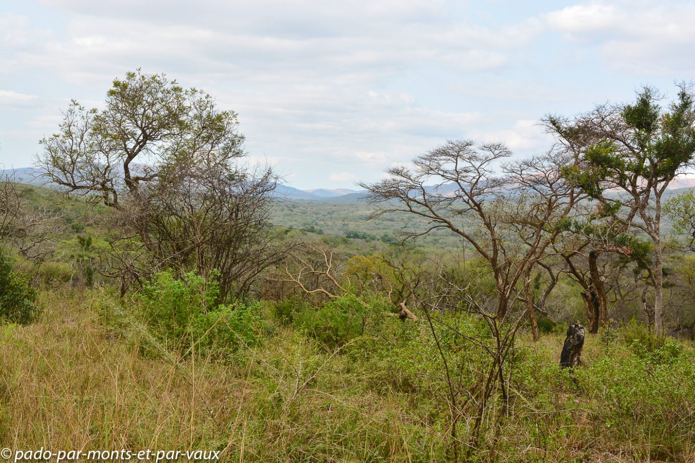 parc national de Hluhluwe parc national de Hluhluwe