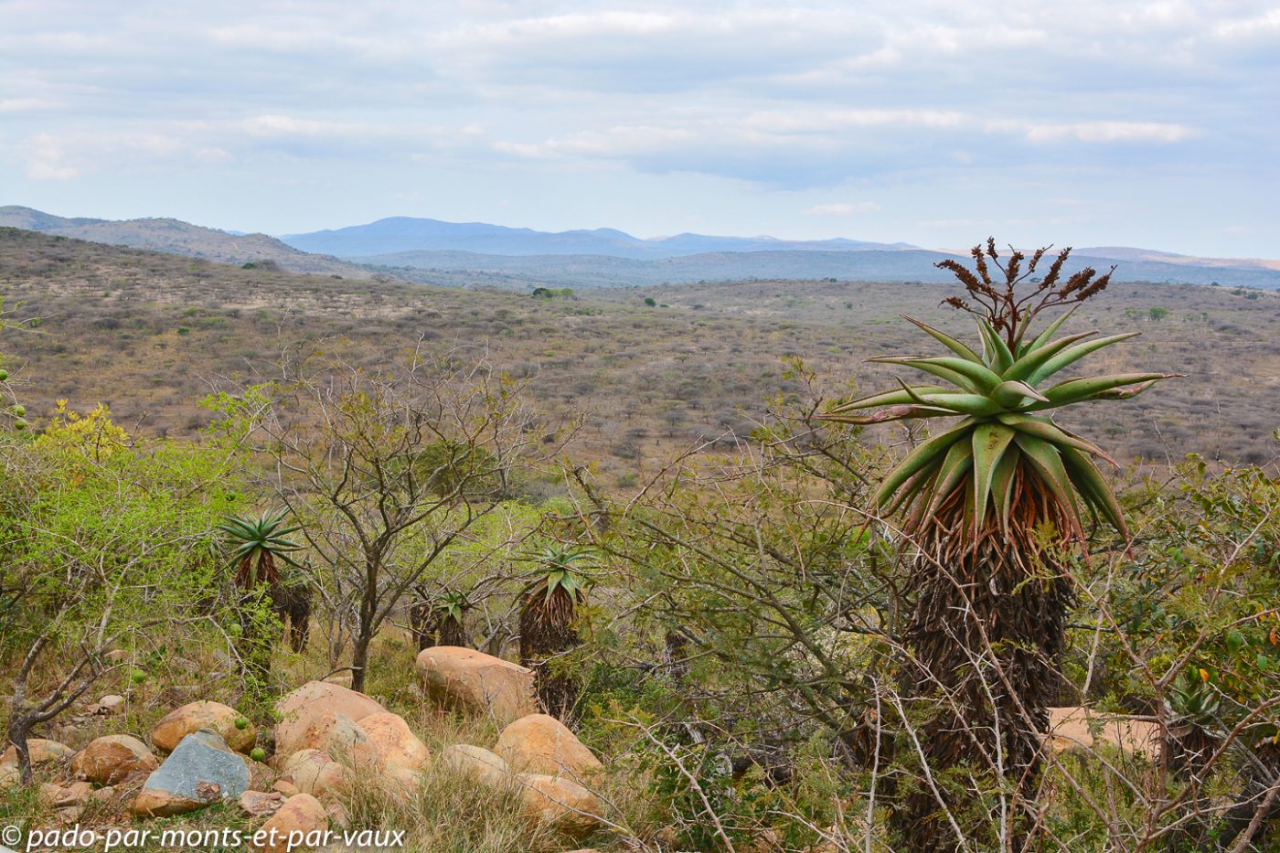 Hluhluwe - rhino ridge safari lodge Hluhluwe - rhino ridge safari lodge