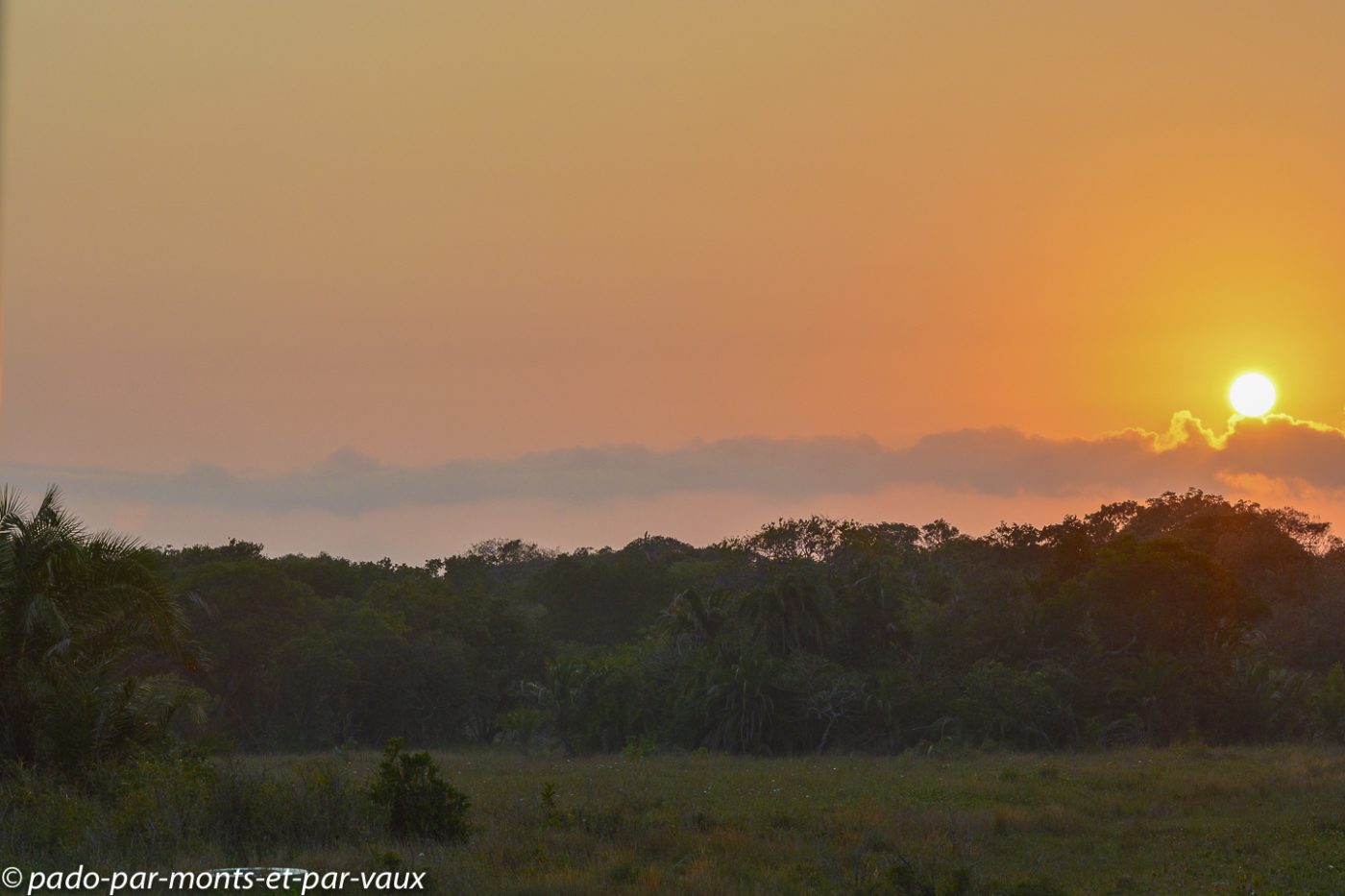 Santa Lucia Wetland park Santa Lucia Wetland park