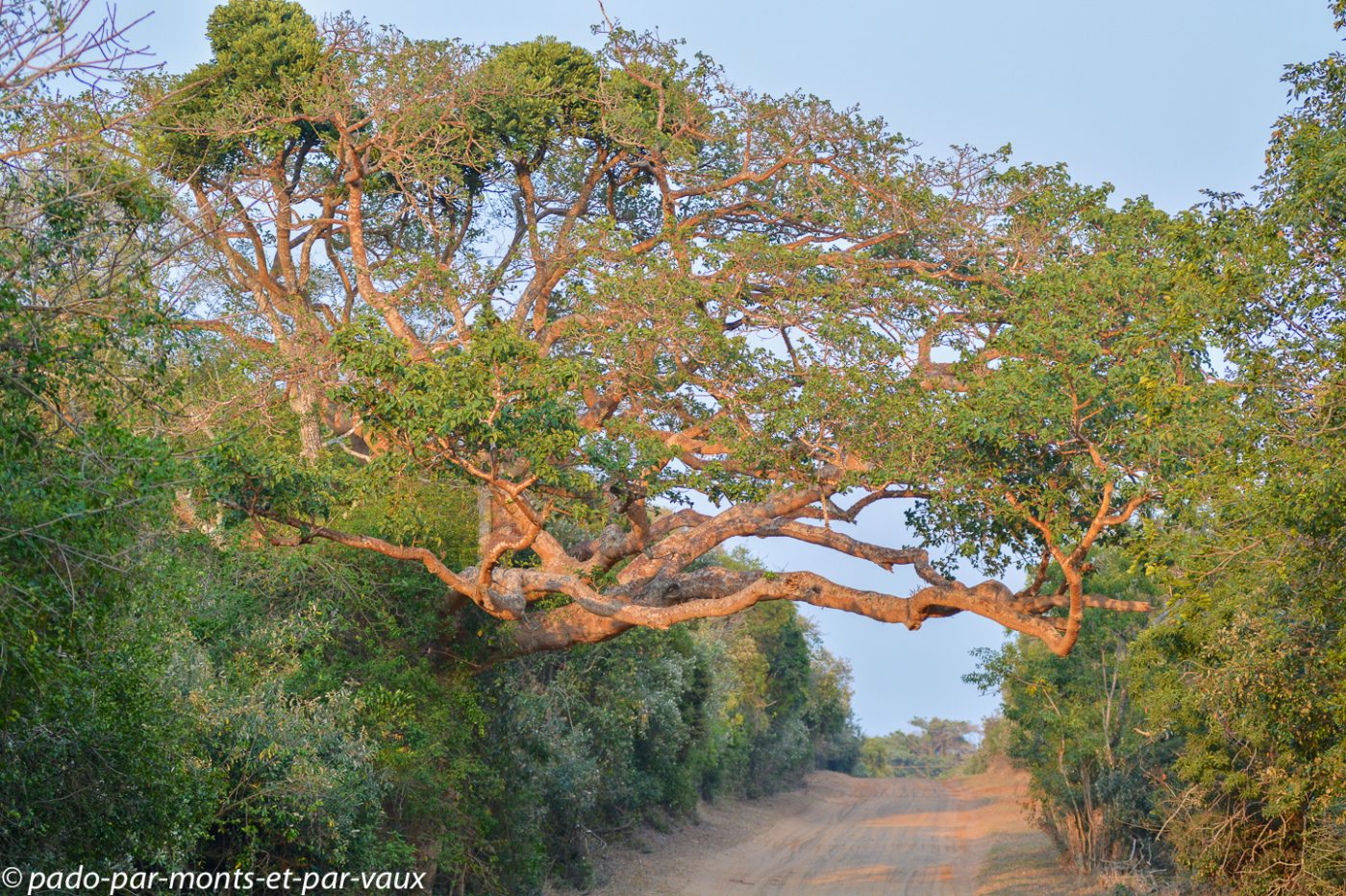 Santa Lucia Wetland park Santa Lucia Wetland park