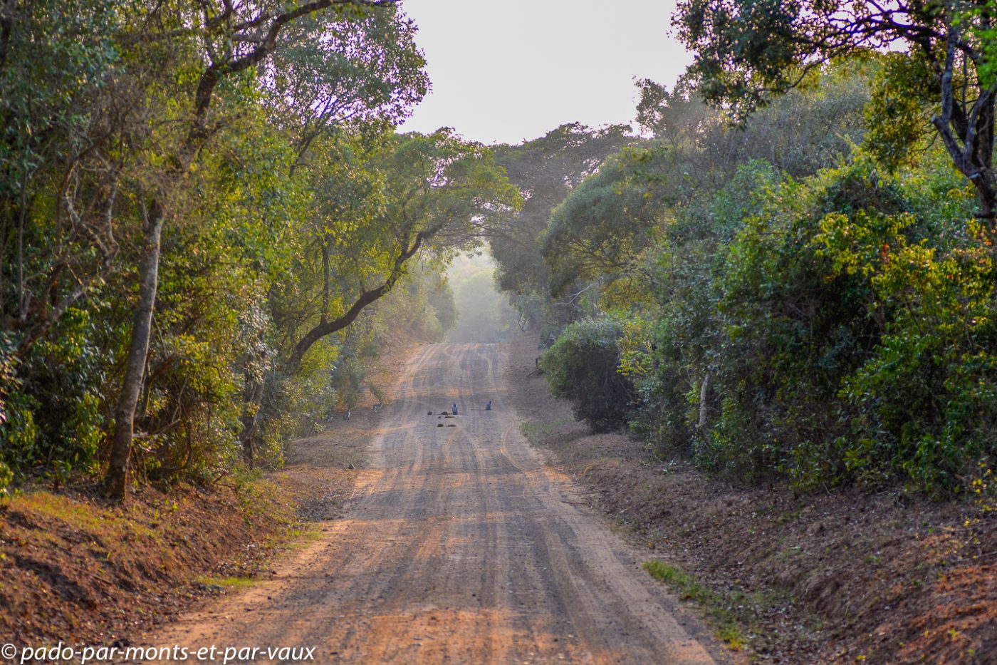Santa Lucia Wetland park Santa Lucia Wetland park