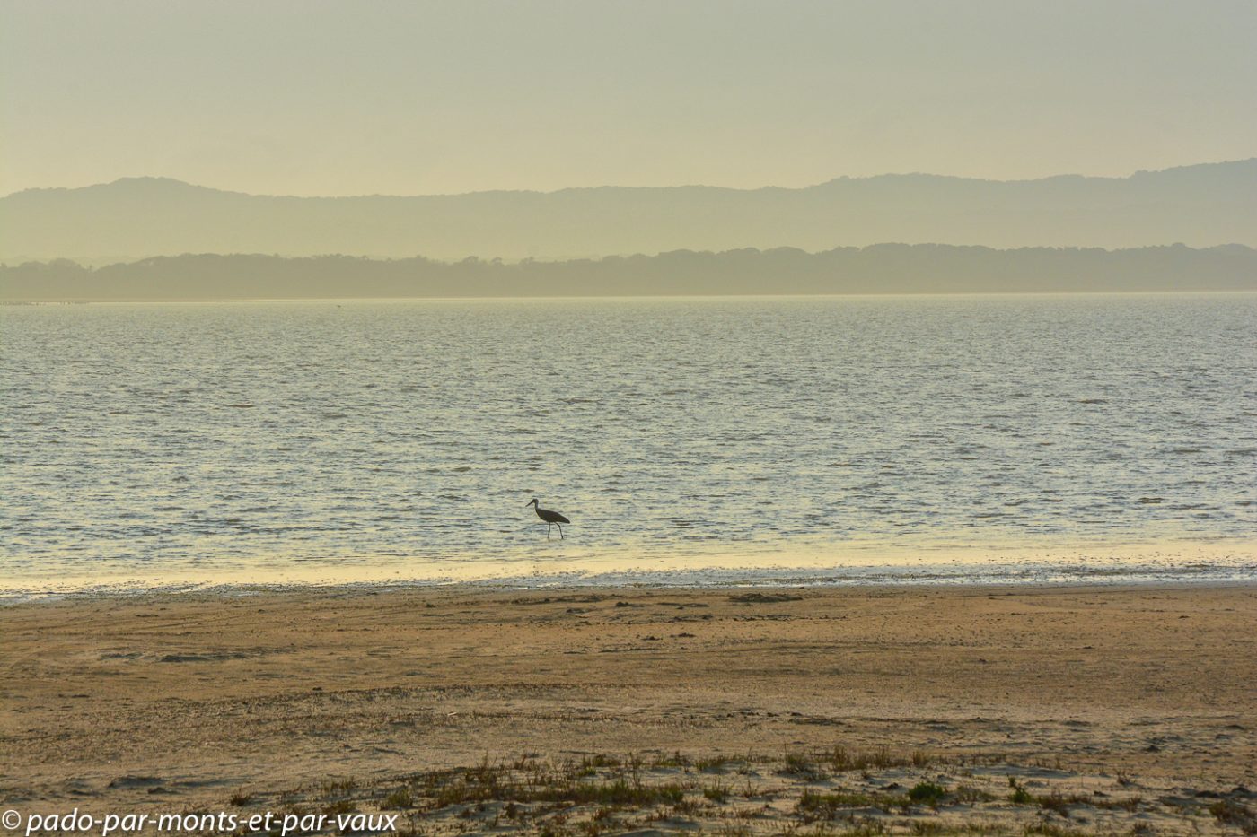 Santa Lucia Wetland park Santa Lucia Wetland park