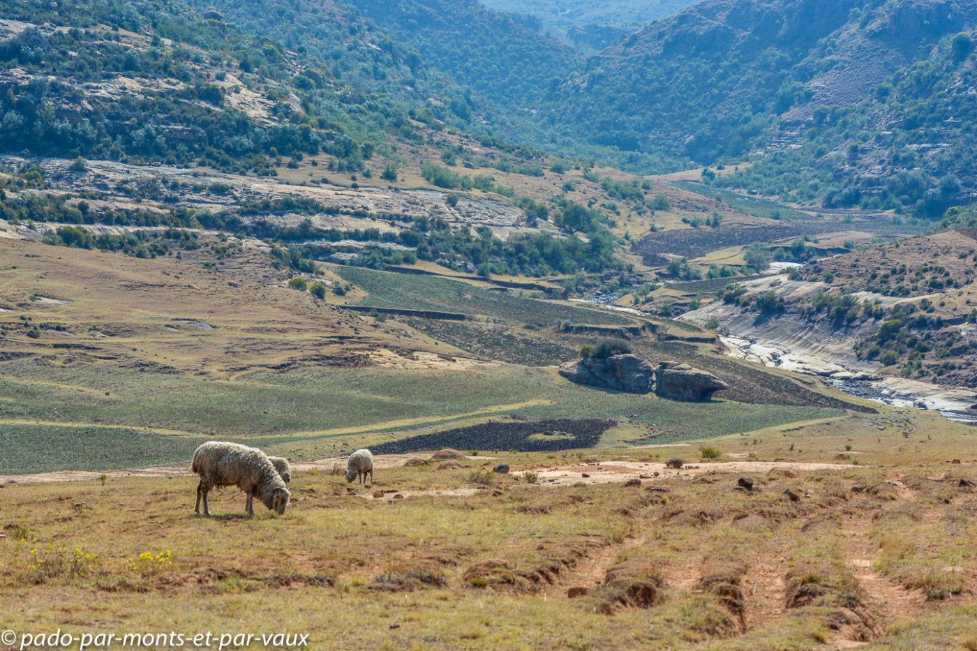 Lesotho - Malealea 