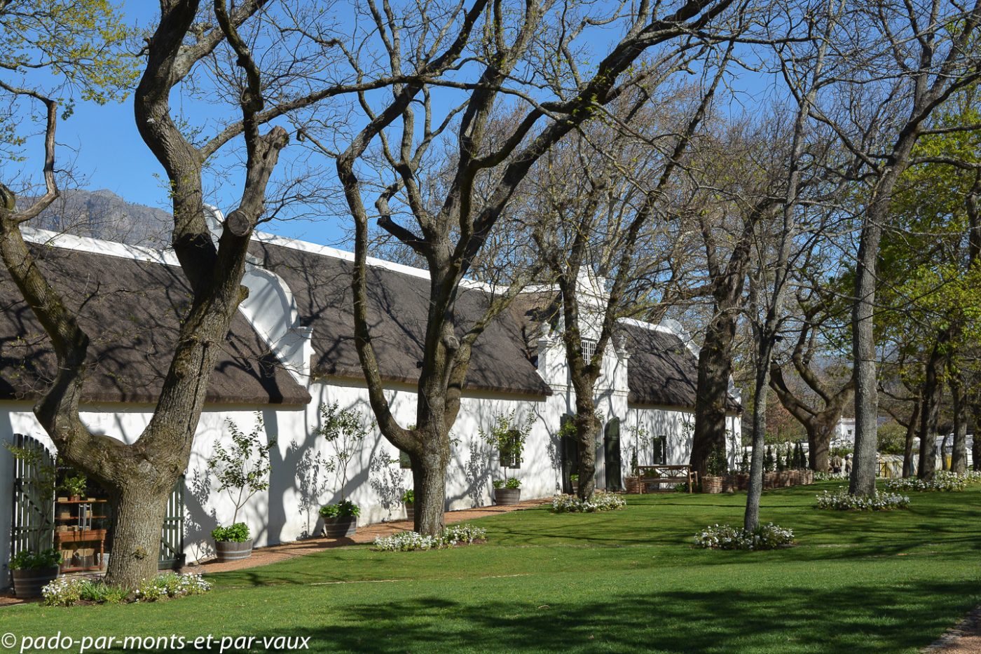 Boschendal Manor Boschendal Manor