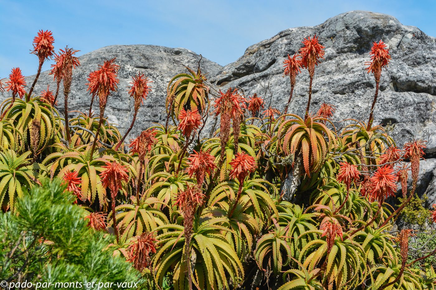 Le Cap - Table Mountain Le Cap - Table Mountain