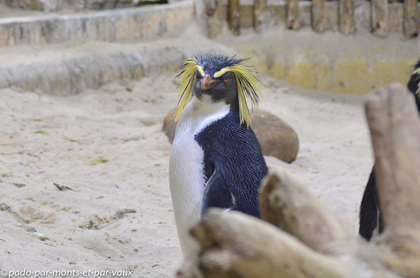 Le Cap - Waterfront - Aquarium Le Cap - Waterfront - Aquarium