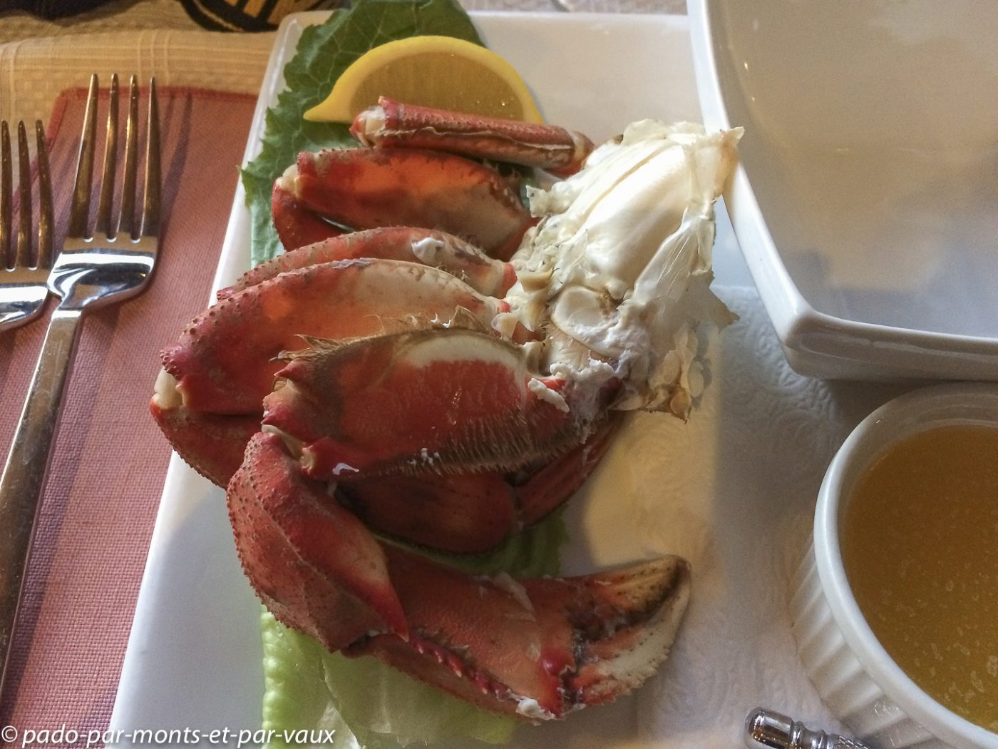 Telegraph Cove - crabe Telegraph Cove - crabe