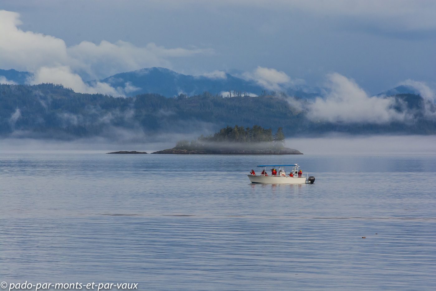 Telegraph Cove sortie en mer Telegraph Cove sortie en mer