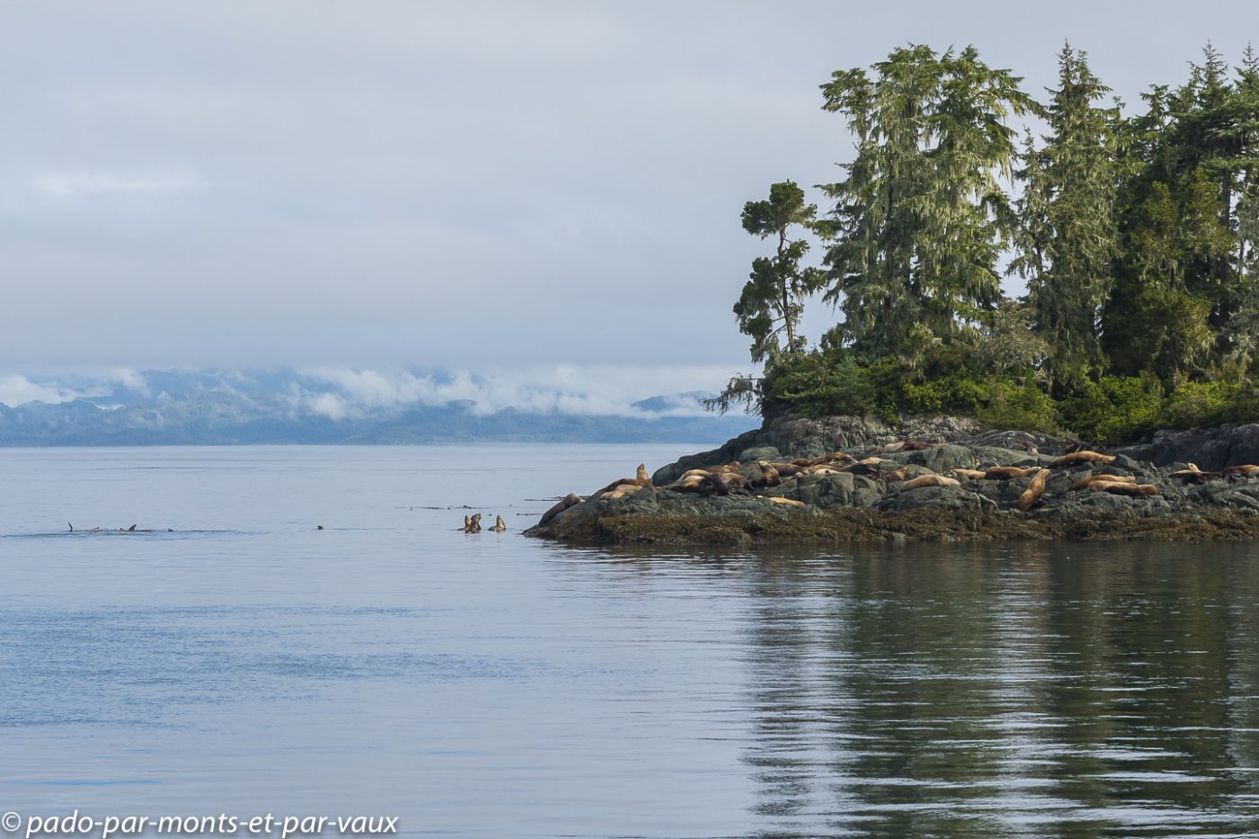 Telegraph Cove - sortie en mer Telegraph Cove - sortie en mer