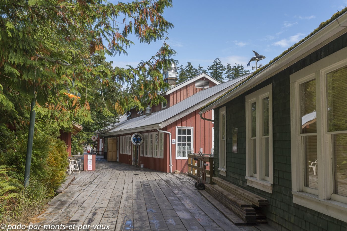 Telegraph Cove Telegraph Cove