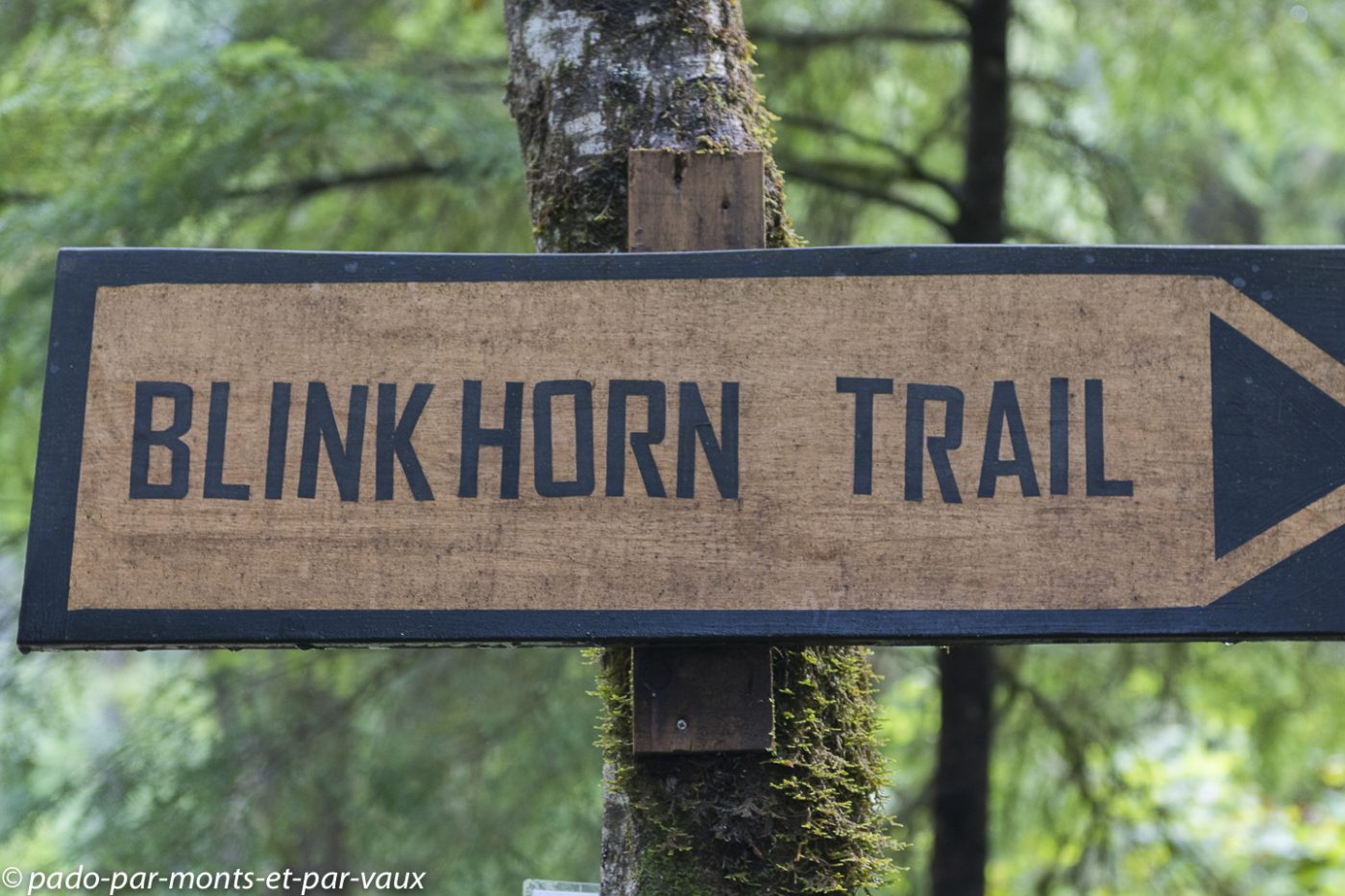 Telegraph Cove - Blink Horn Trail