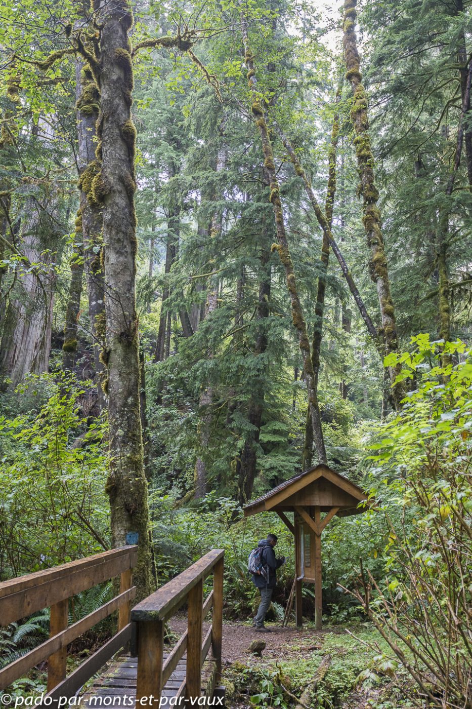 Telegraph Cove - Blink Horn Trail Telegraph Cove - Blink Horn Trail