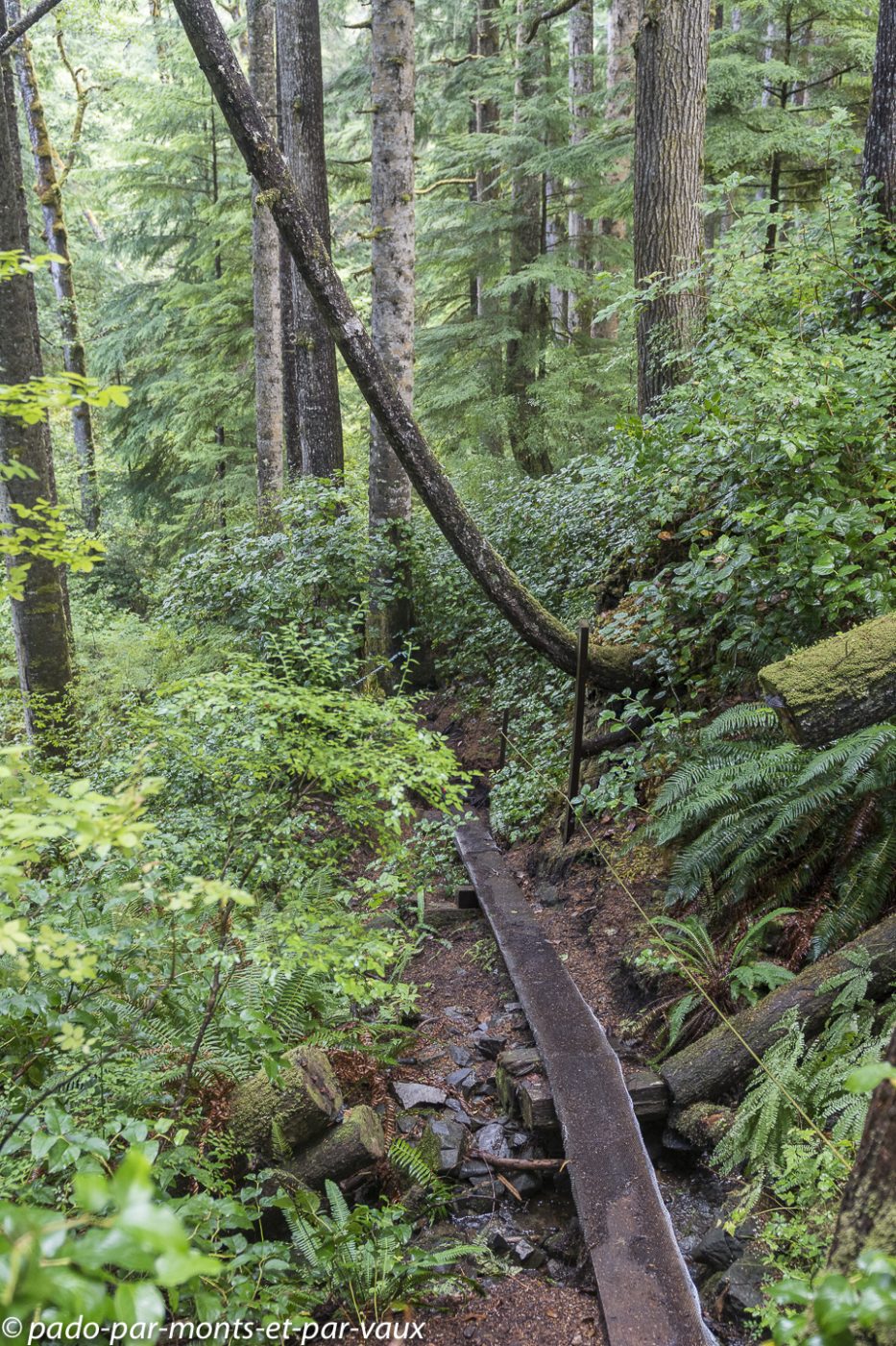 Telegraph Cove - Blink Horn Trail Telegraph Cove - Blink Horn Trail