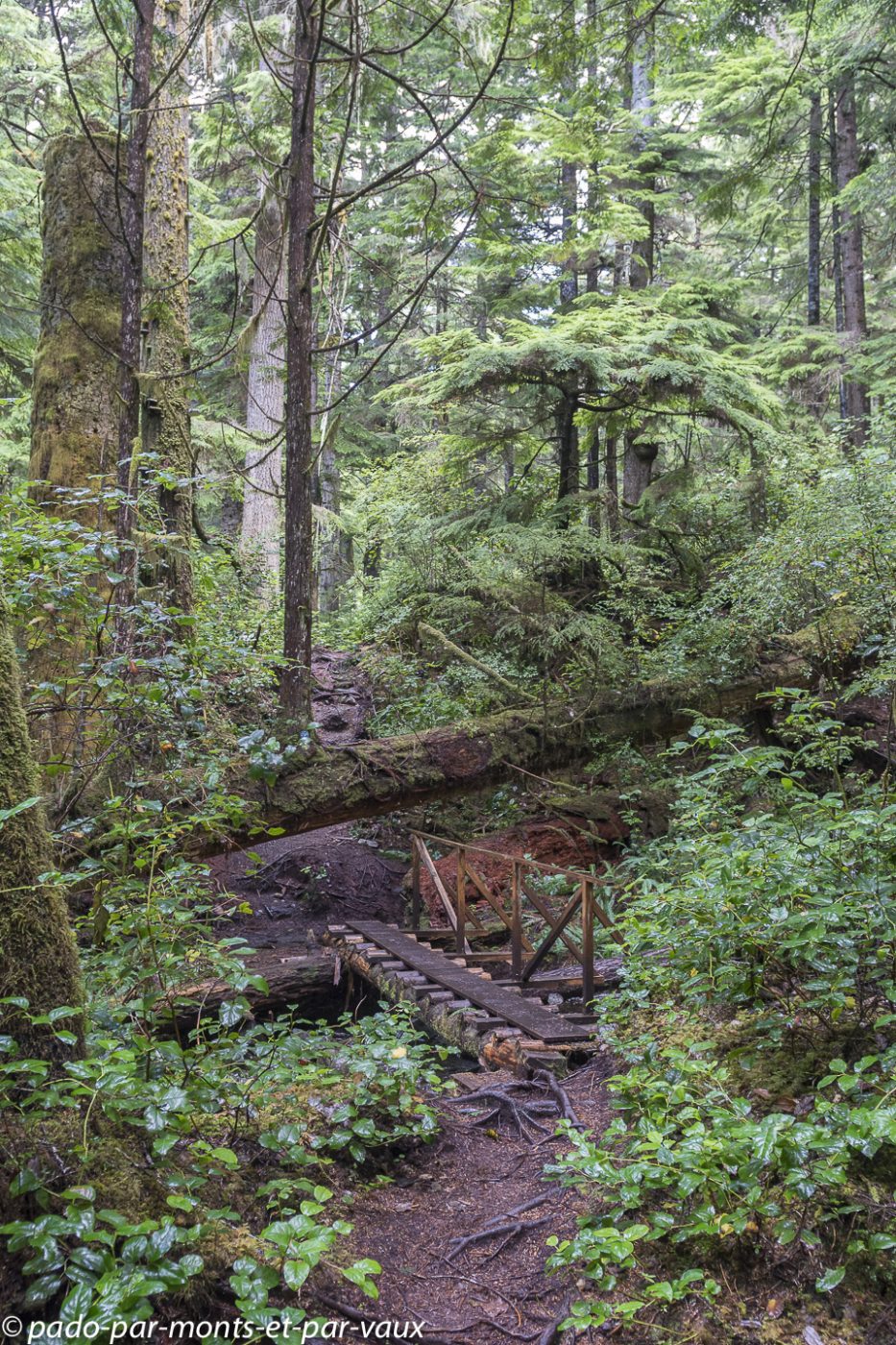Telegraph Cove - Blink Horn Trail Telegraph Cove - Blink Horn Trail