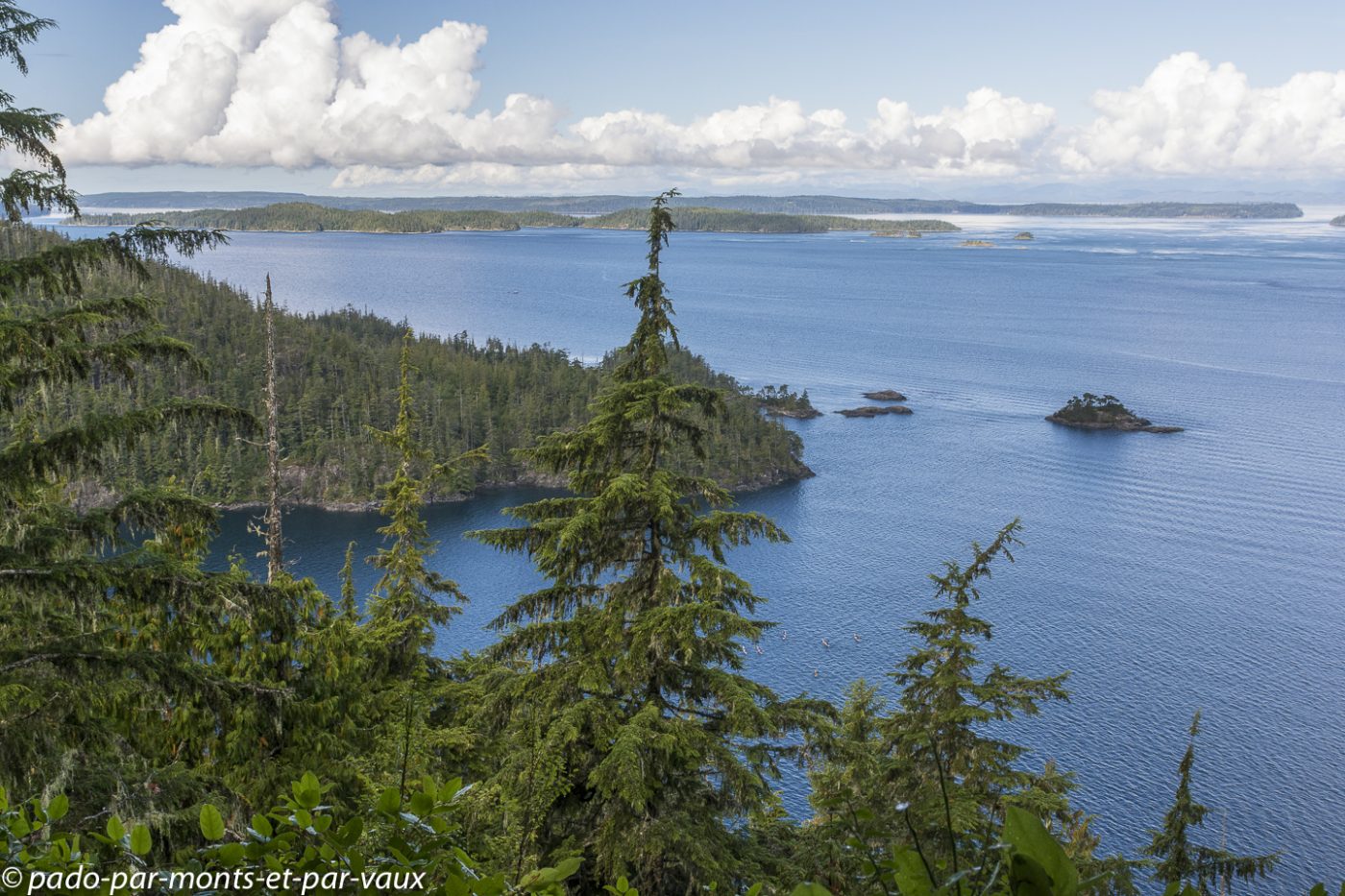 Telegraph Cove - Blink Horn Trail Telegraph Cove - Blink Horn Trail