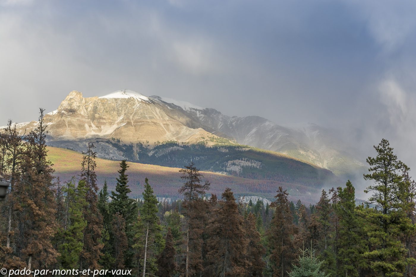 Route vers Jasper Route vers Jasper