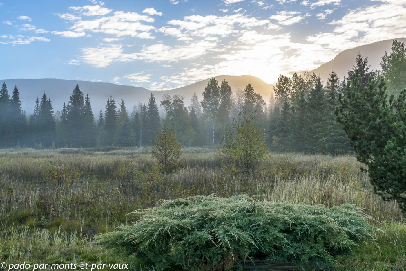 Wells Gray Park - Blue Grouse country inn Wells Gray Park - Blue Grouse country inn
