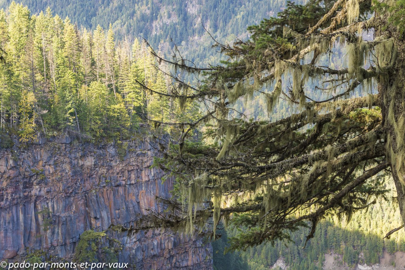 Wells Gray Park - Spahats Falls Wells Gray Park - Spahats Falls