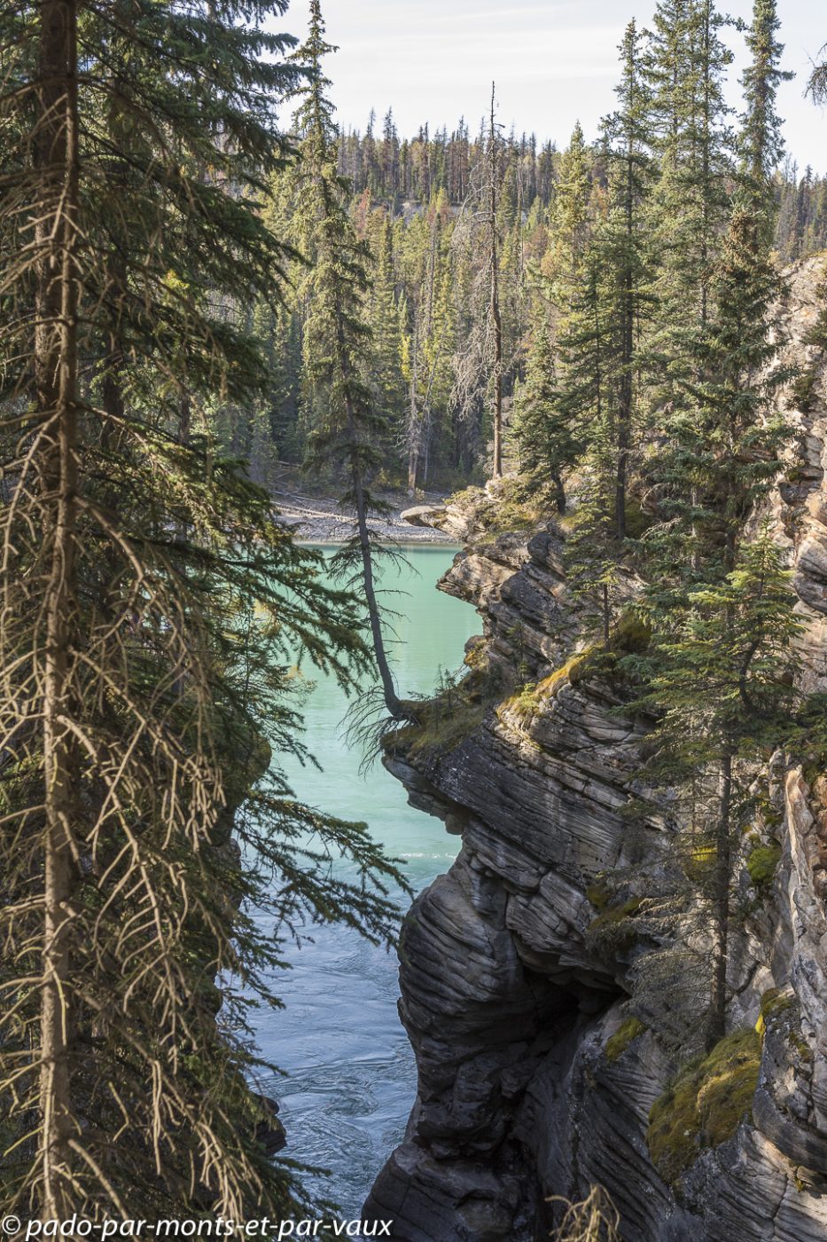  Jasper - Athabasca falls