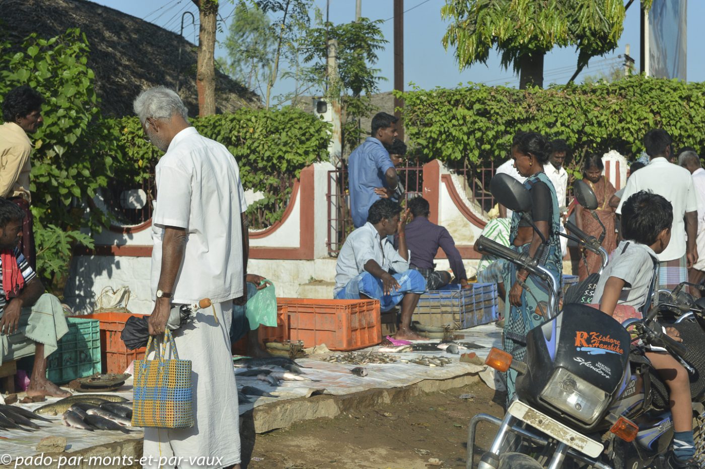 Marché aux poissons Marché aux poissons