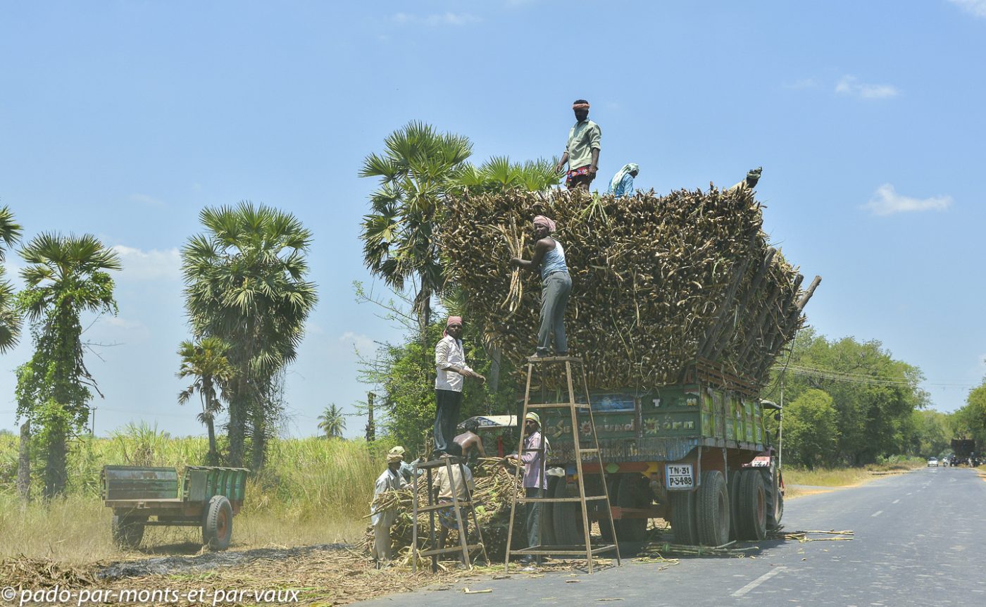 Route en direction de Tanjore Route en direction de Tanjore