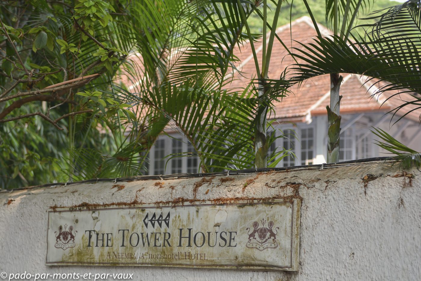  Cochin- The Tower House
