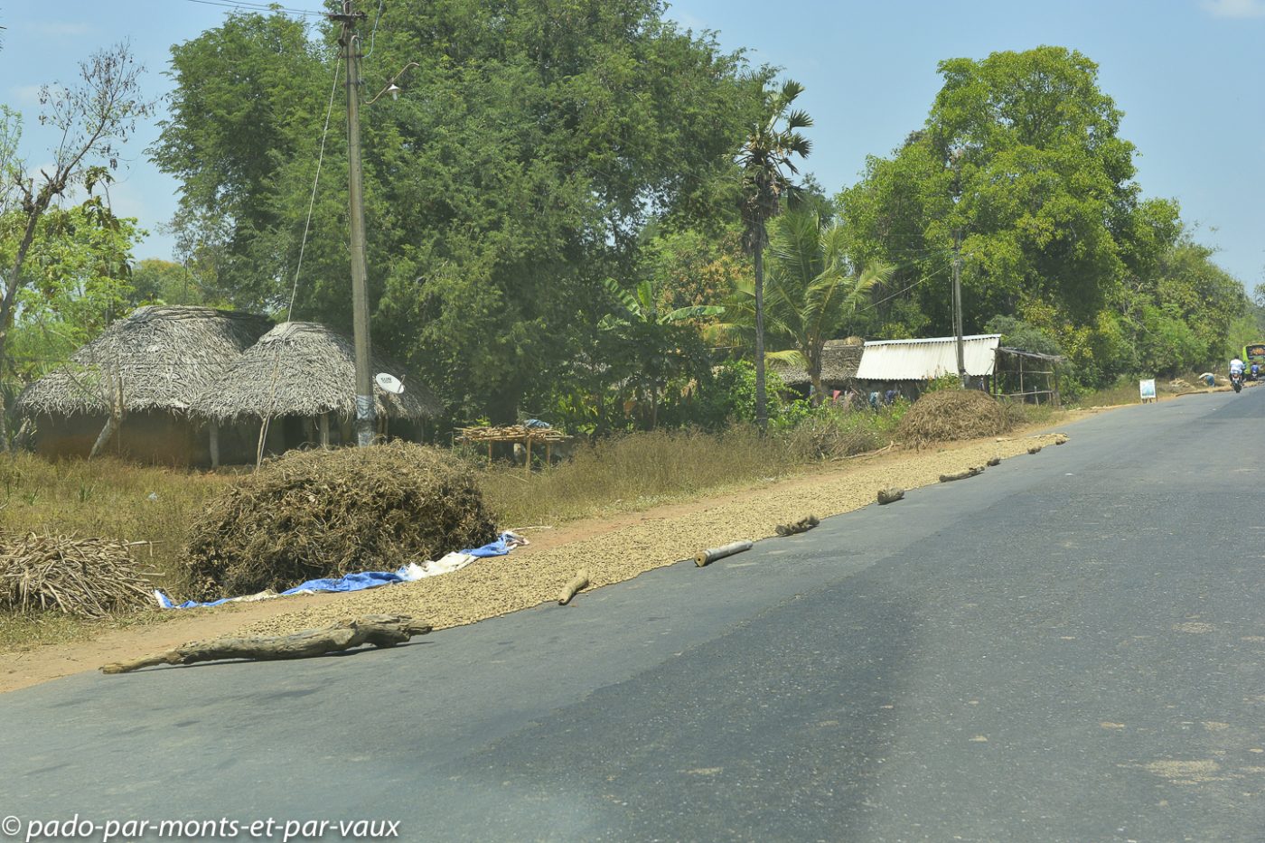 Route vers Tanjore - Cacahuètes Route vers Tanjore - Cacahuètes