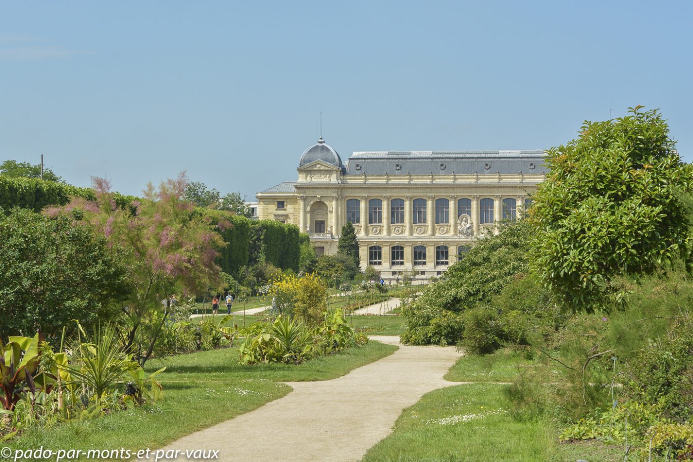 Jardin des plantes