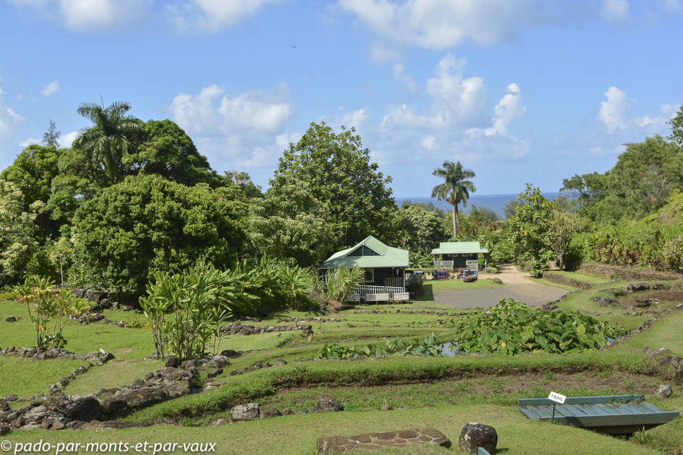 Limahuli garden