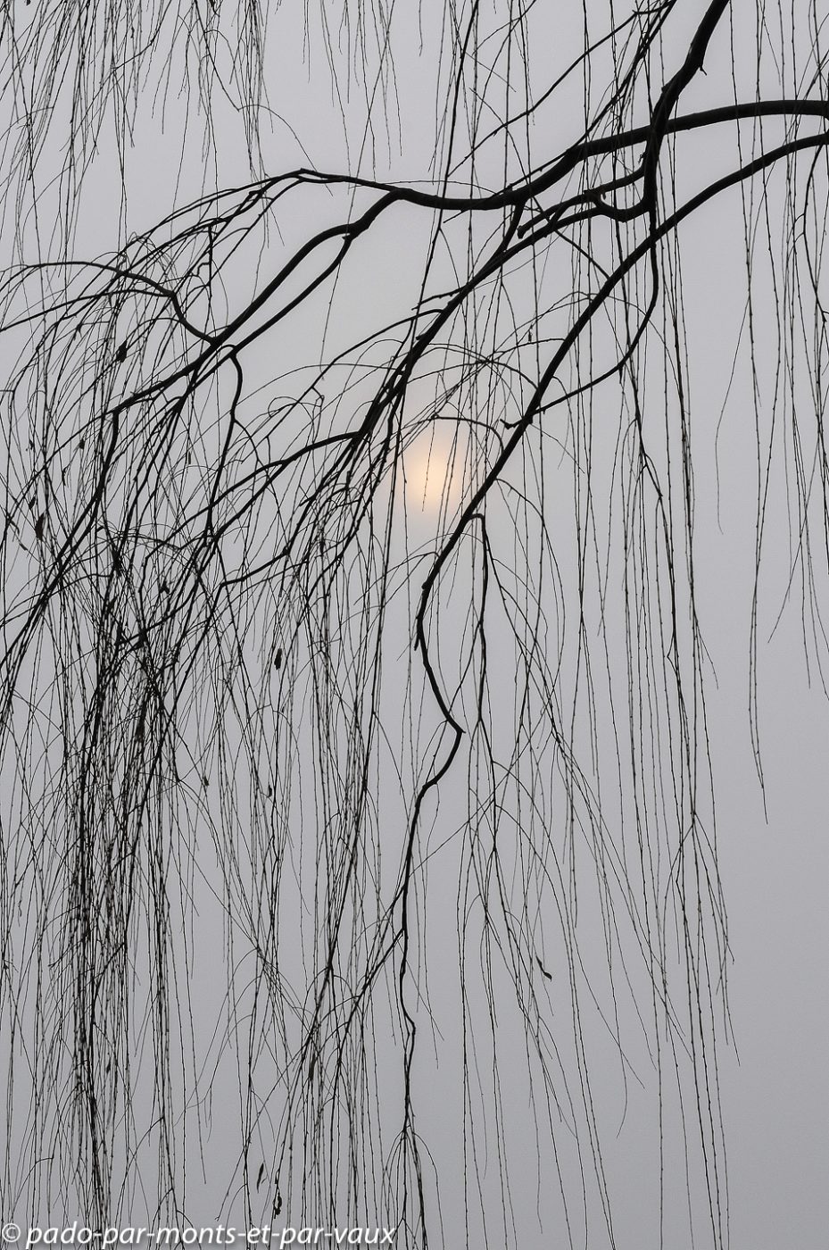 2010- Pekin - Lac Houhai  