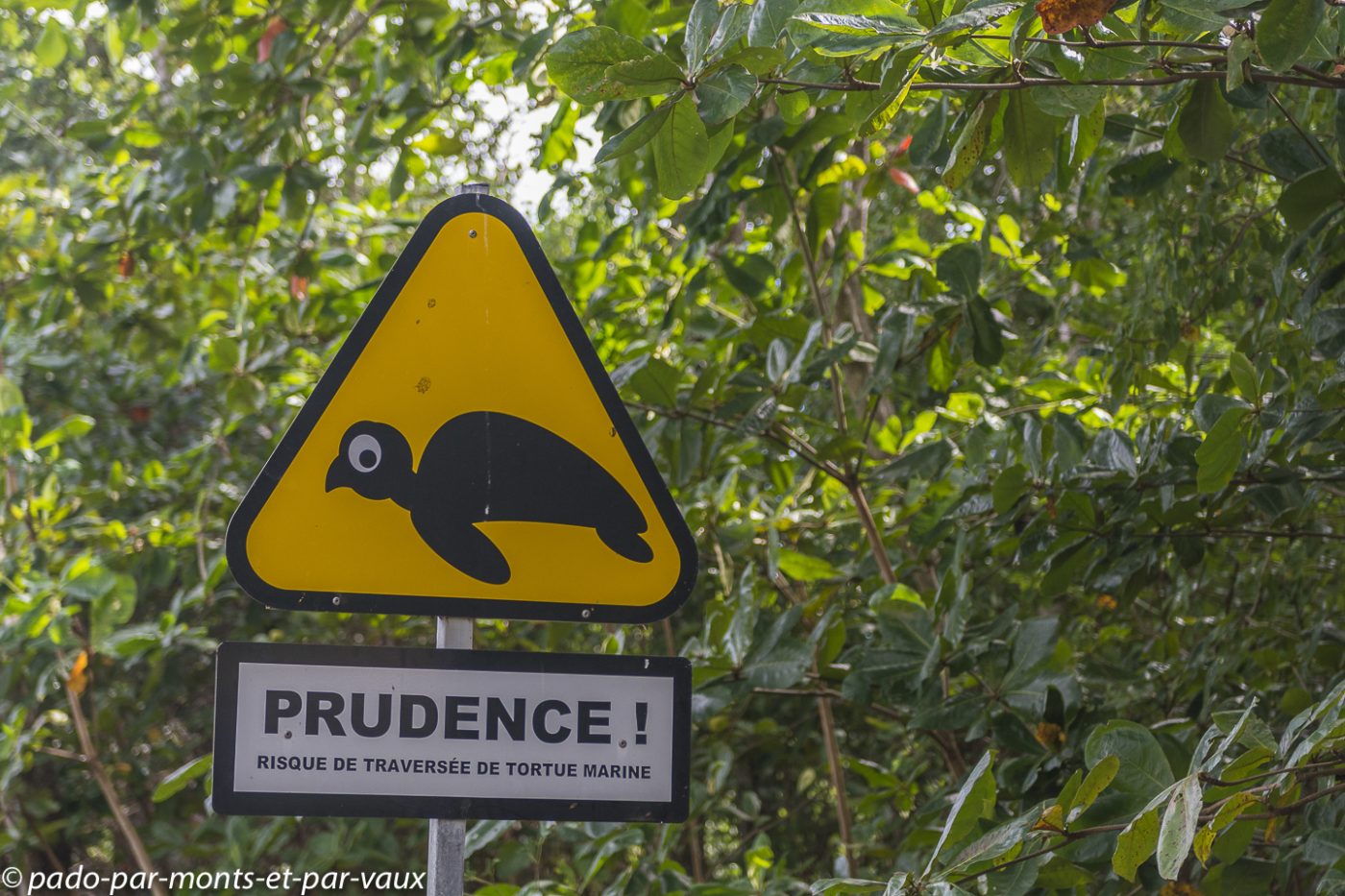 2021- Marie-Galante - Vieux Fort 2021- Marie-Galante - Vieux Fort