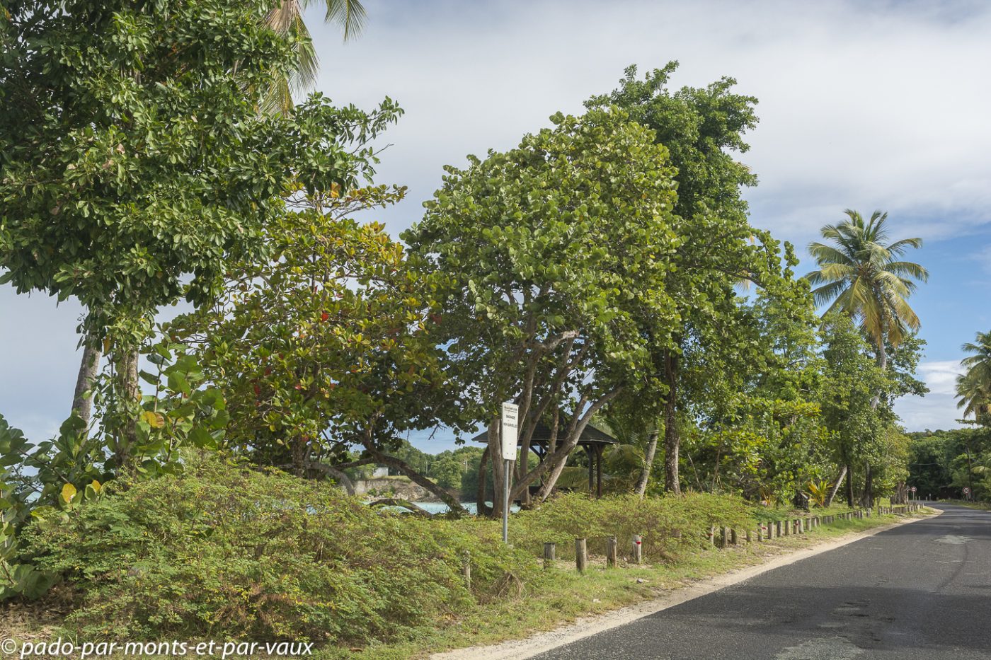 2021- Marie-Galante - Vieux Fort 2021- Marie-Galante - Vieux Fort