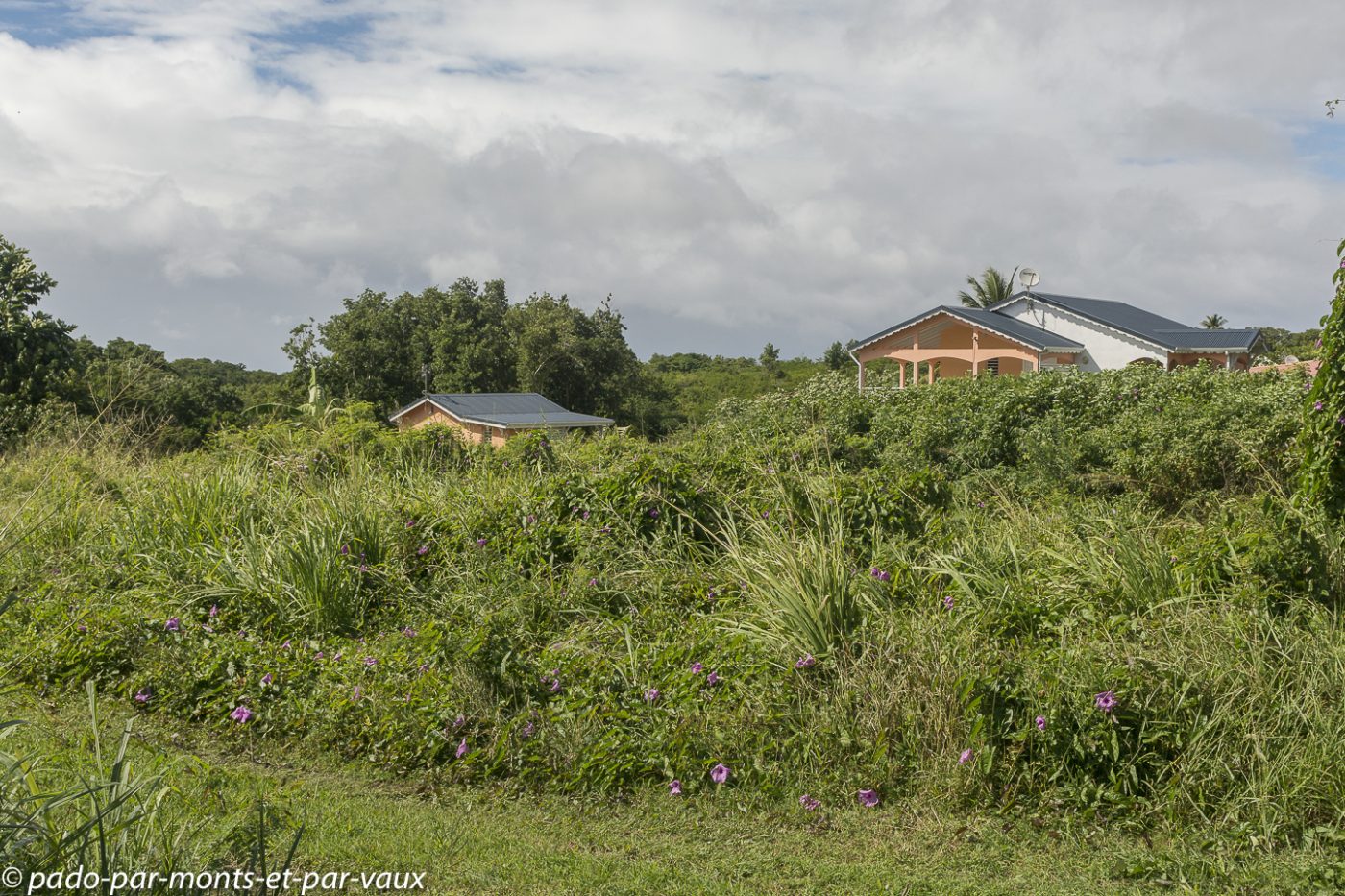 2021- Marie-Galante 2021- Marie-Galante