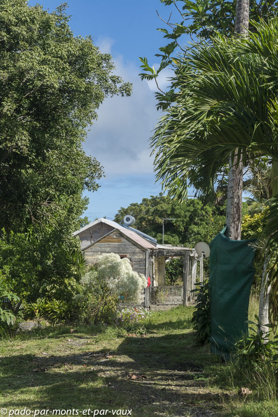 2021- Marie-Galante 2021- Marie-Galante