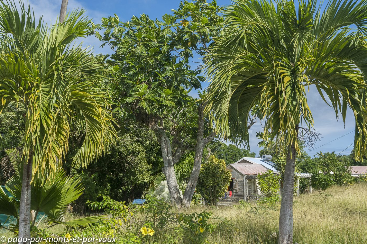 2021- Marie-Galante 2021- Marie-Galante