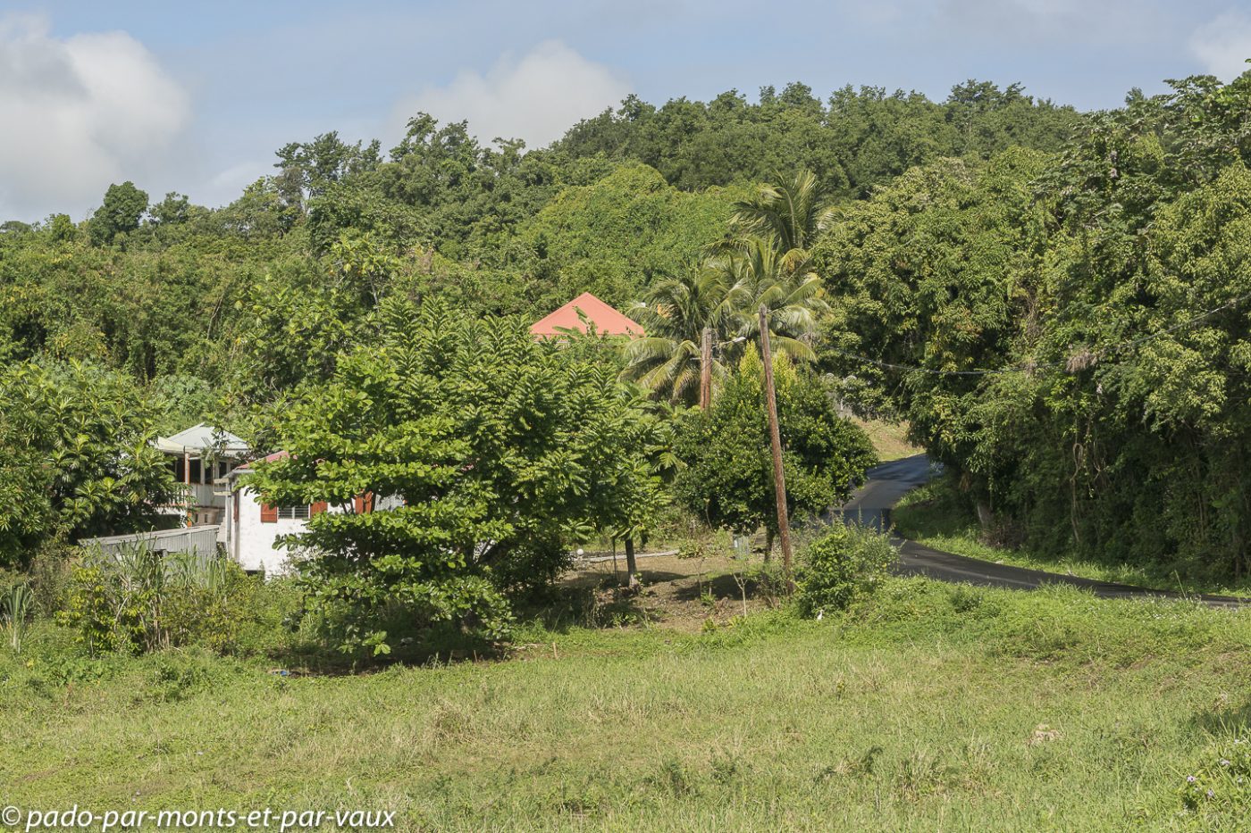 2021- Marie-Galante 2021- Marie-Galante