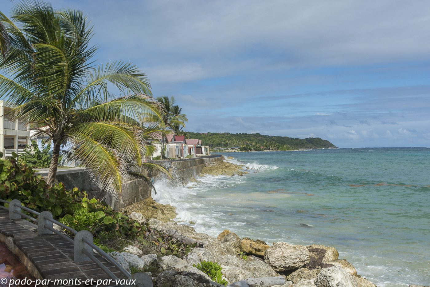 2021- Marie-Galante-Capesterre 2021- Marie-Galante- Capesterre