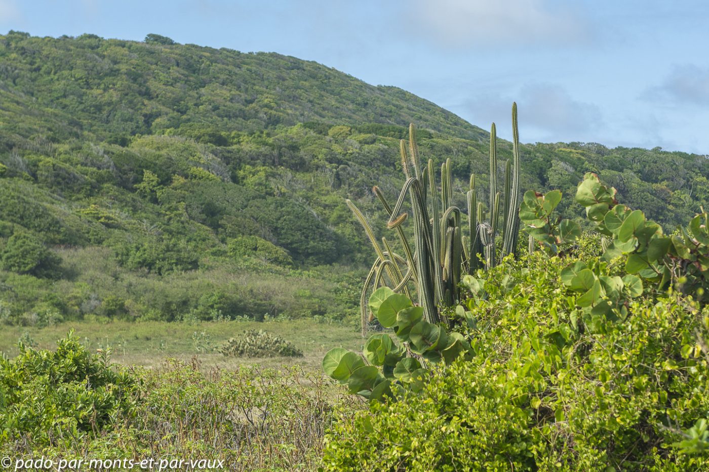 2021- Marie-Galante-Les-Galeries 2021- Marie-Galante-Les-Galeries